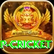 2022 world cup cricket Deluxe Edition v3.4.7