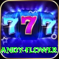 andy flower Plus Edition v4.3.9