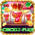 bet365 cricket Slots King v5.3.4