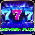 carp fish - Live Champion