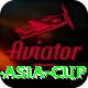 cricbuzz asia cup Gold v3.1.1
