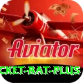 cricket bat - Deluxe Edition v2.1.0