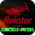 cricket pitch Premium Plus v5.4.9