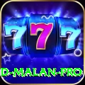 dawid malan VIP New