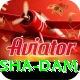 diamer bhasha dam Premium Edition v1.3.2