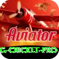 eng cricket - Turbo v1.7.7