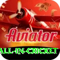 fastest ball in cricket Plus v3.0.2
