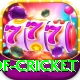 god of cricket Turbo v3.1.3
