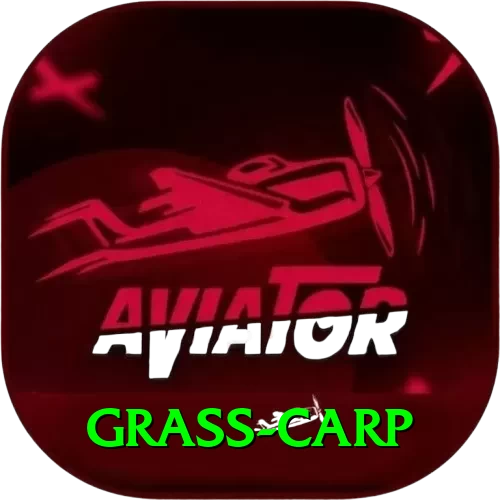grass carp Plus Edition v2.2.8 - 2