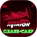 grass carp Plus Edition v2.2.8