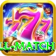 ind all match Master Pro v4.6.3