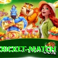 india cricket match Plus Edition v4.6.8