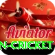 india pakistan cricket Gold Pro v5.2.2
