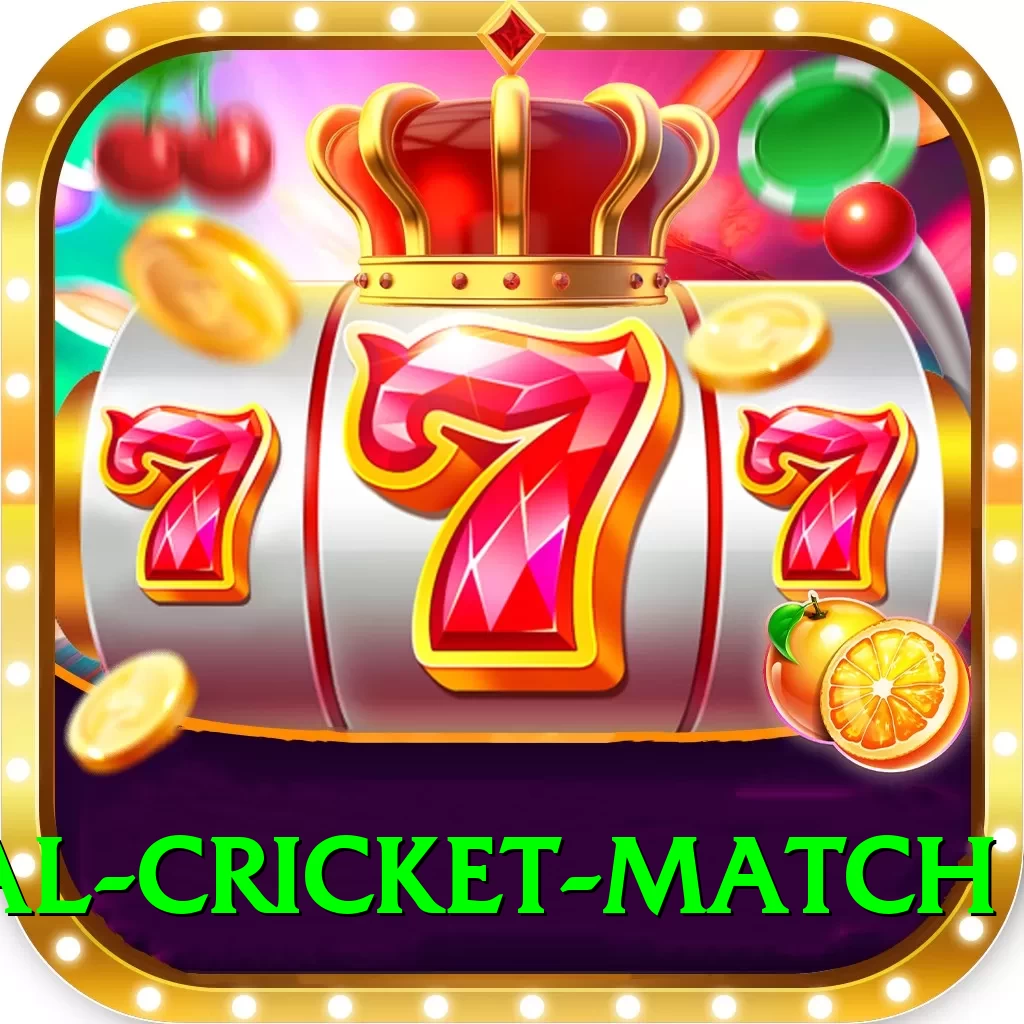international cricket match Elite v1.0.3 - 2