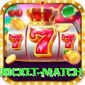 international cricket match Elite v1.0.3