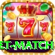 international cricket match Elite v1.0.3