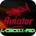 international cricket Slots Deluxe v1.0.9