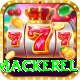 king mackerel Elite v2.3.1