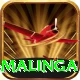 lasith malinga Games (Casino & Earning) VIP v1.9.7
