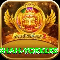 naseem shah yorkers Gold v2.3.8