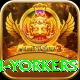 naseem shah yorkers Gold v2.3.8