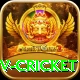ndtv cricket Gold Edition v2.1.0