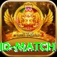 pak england match Gold v3.4.0