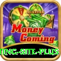 Pakistan Betting Site Mobile Mega