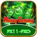 pk11 - VIP v4.5.6