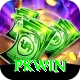 PKWin Max vv2.5.4