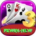 PKWin Gaming Max v1.0.9