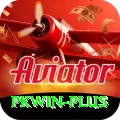 pkwin Deluxe Edition v4.5.0