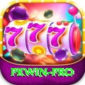 pkwin Premium v2.5.8