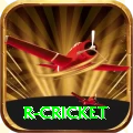 r cricket Premium Edition v4.8.8