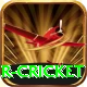 r cricket Premium Edition v4.8.8