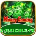 rain affected matches pk Plus Edition v2.8.4