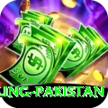 responsible gambling pakistan Plus Pro v3.7.3