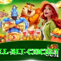 risk free bet cricket Apps (Tools & Injectors) Gold v3.7.3