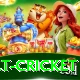 risk free bet cricket Apps (Tools & Injectors) Gold v3.7.3