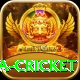 sa cricket Master Pro v4.3.0