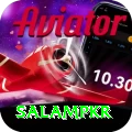 SalamPKR Apps (Tools & Injectors) Pro v5.0.9