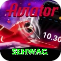 sehwag Apps (Tools & Injectors) Max v5.1.0