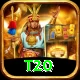 t20 Max v4.4.9