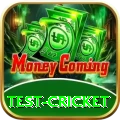 test cricket VIP v5.2.9
