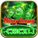 test cricket VIP v5.2.9