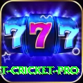 test cricket Casino VIP v1.4.1
