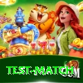 test match Pro Max v5.7.0