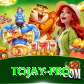 tojay Premium Plus v2.7.7