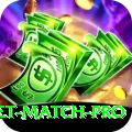 tomorrow cricket match Pakistan Champion v3.7.8