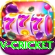 v cricket Elite v5.4.1